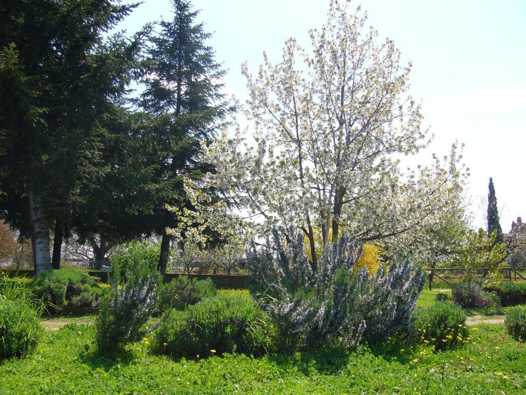 Agriturismo San Giacomo Питильяно Экстерьер фото