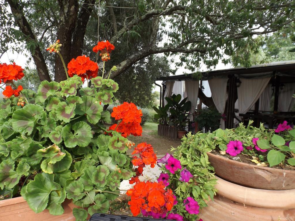 Agriturismo San Giacomo Питильяно Номер фото